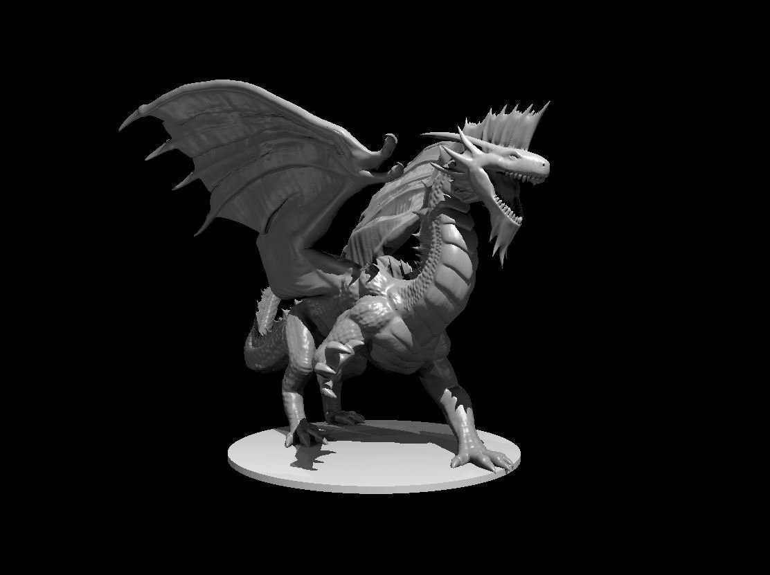 Silver Dragon (Various Ages and Poses) - MZ4250