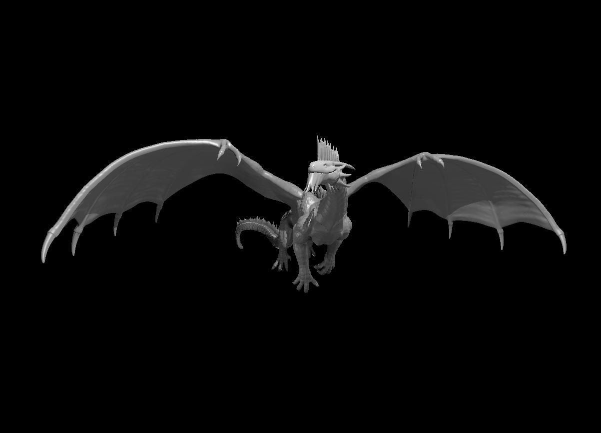 Silver Dragon (Various Ages and Poses) - MZ4250