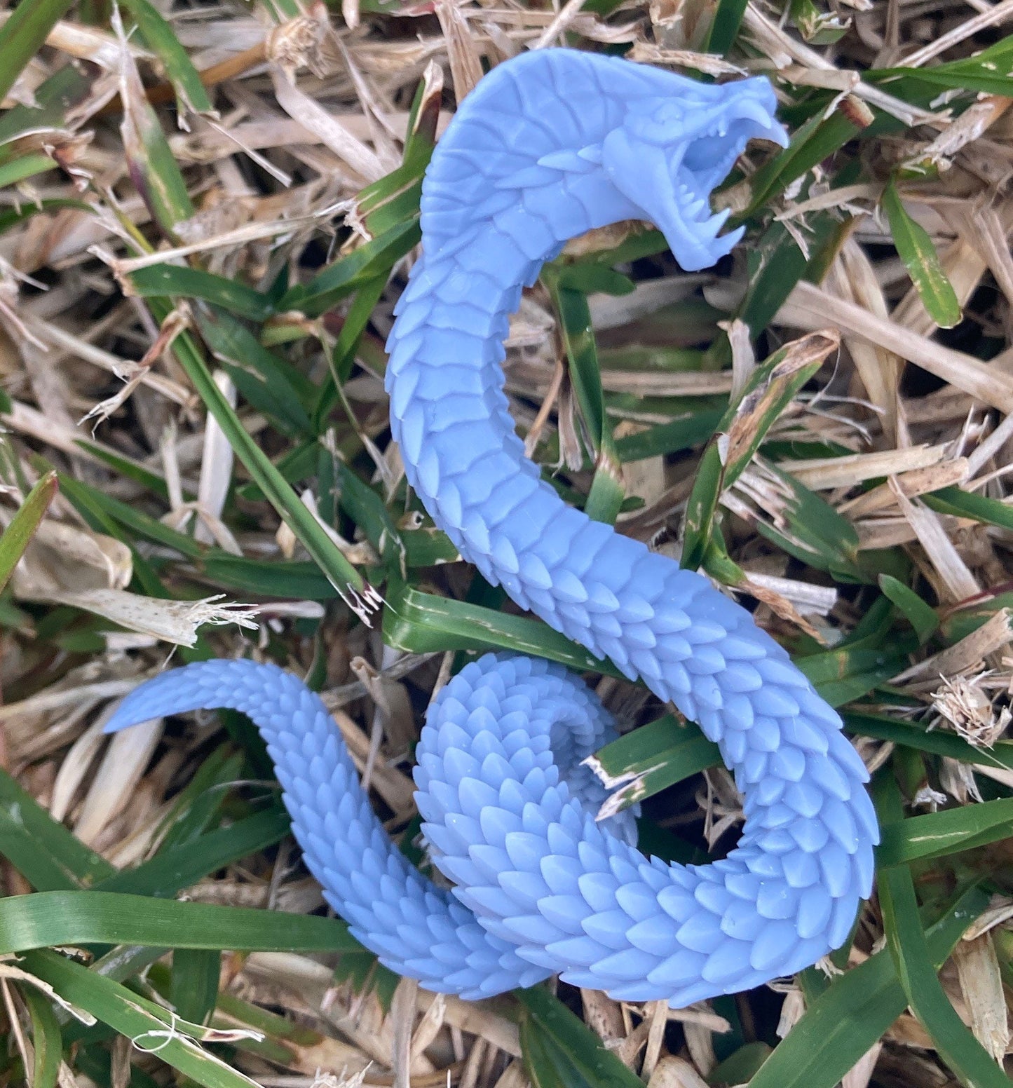 Giant Snake (4 Variants Available) - Artisan Guild