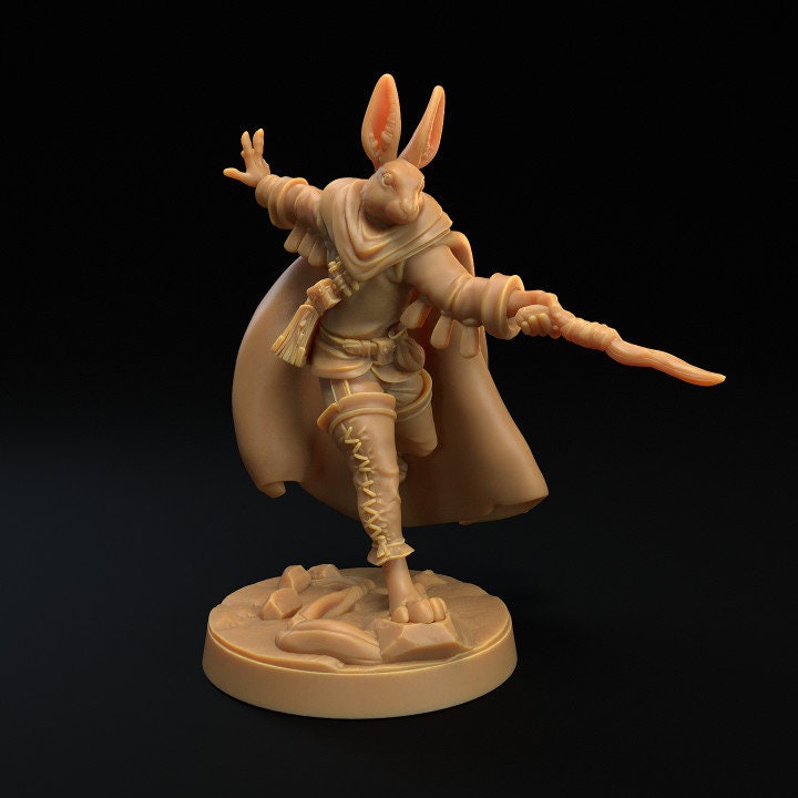 Rabbit Heroes (6 Variants Available) - Dragon Trapper's Lodge