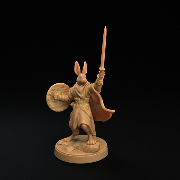 Rabbit Heroes (6 Variants Available) - Dragon Trapper's Lodge