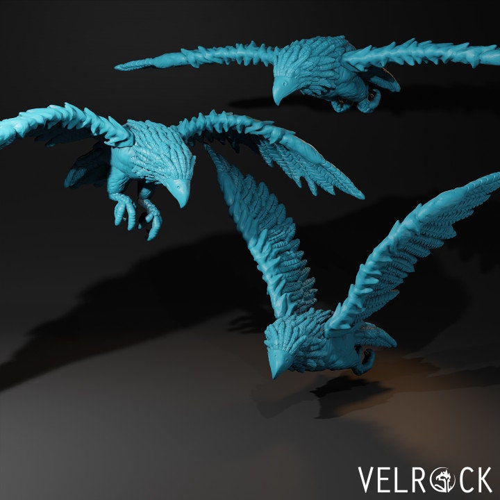 Hawk (3 Variants Available) - Velrock