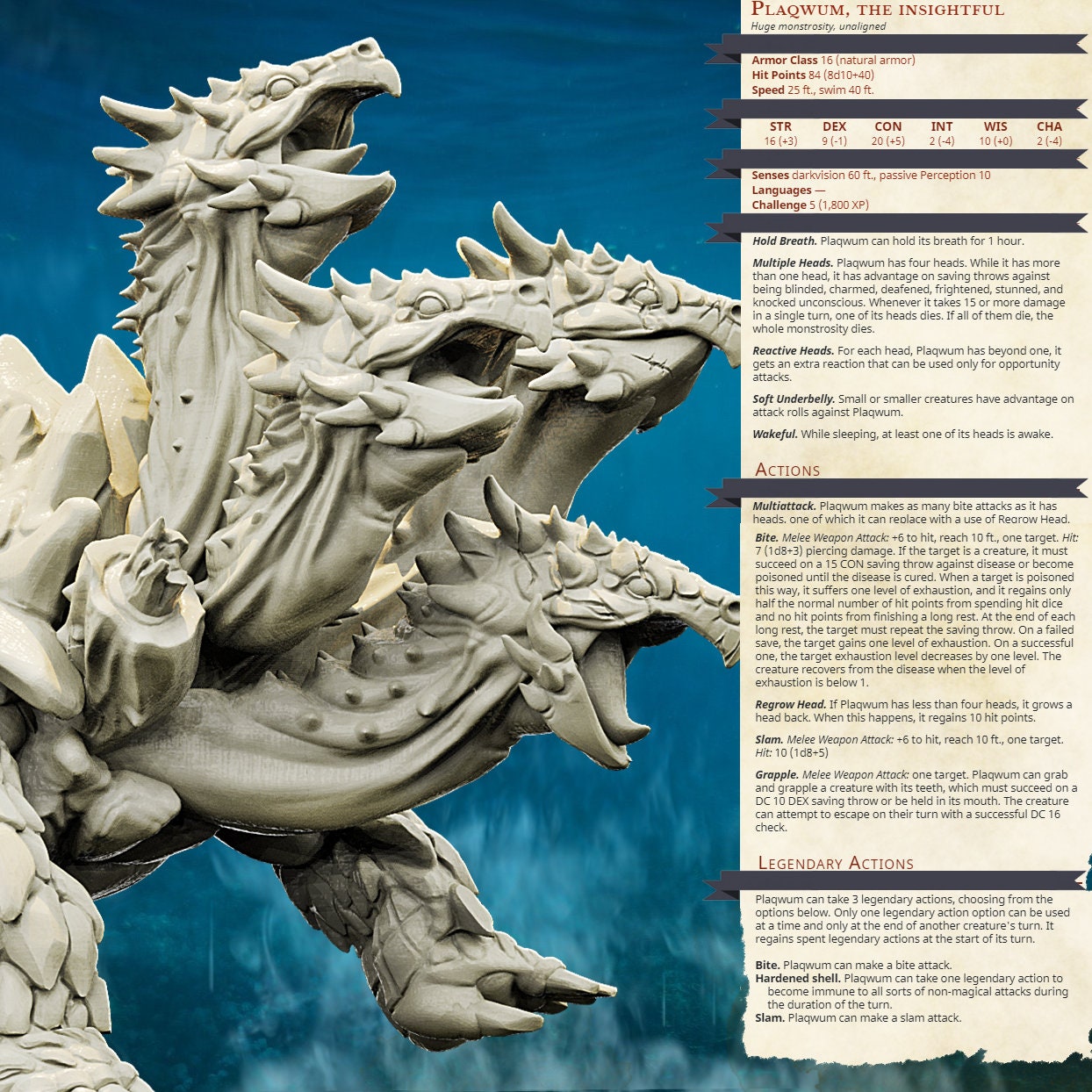 Turtle Hydra - Brayan Nafarrate