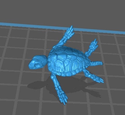 Skeleton Turtle (3 Variants Available) - Brayan Nafarrate