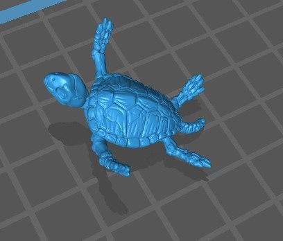 Skeleton Turtle (3 Variants Available) - Brayan Nafarrate