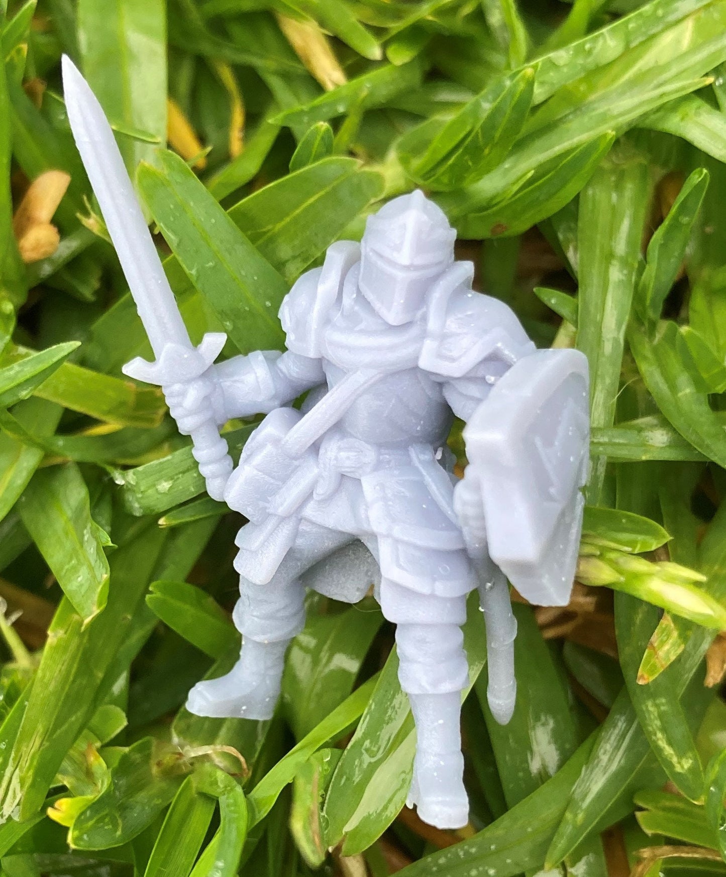 Male Human Paladin of Bahamat - Velrock