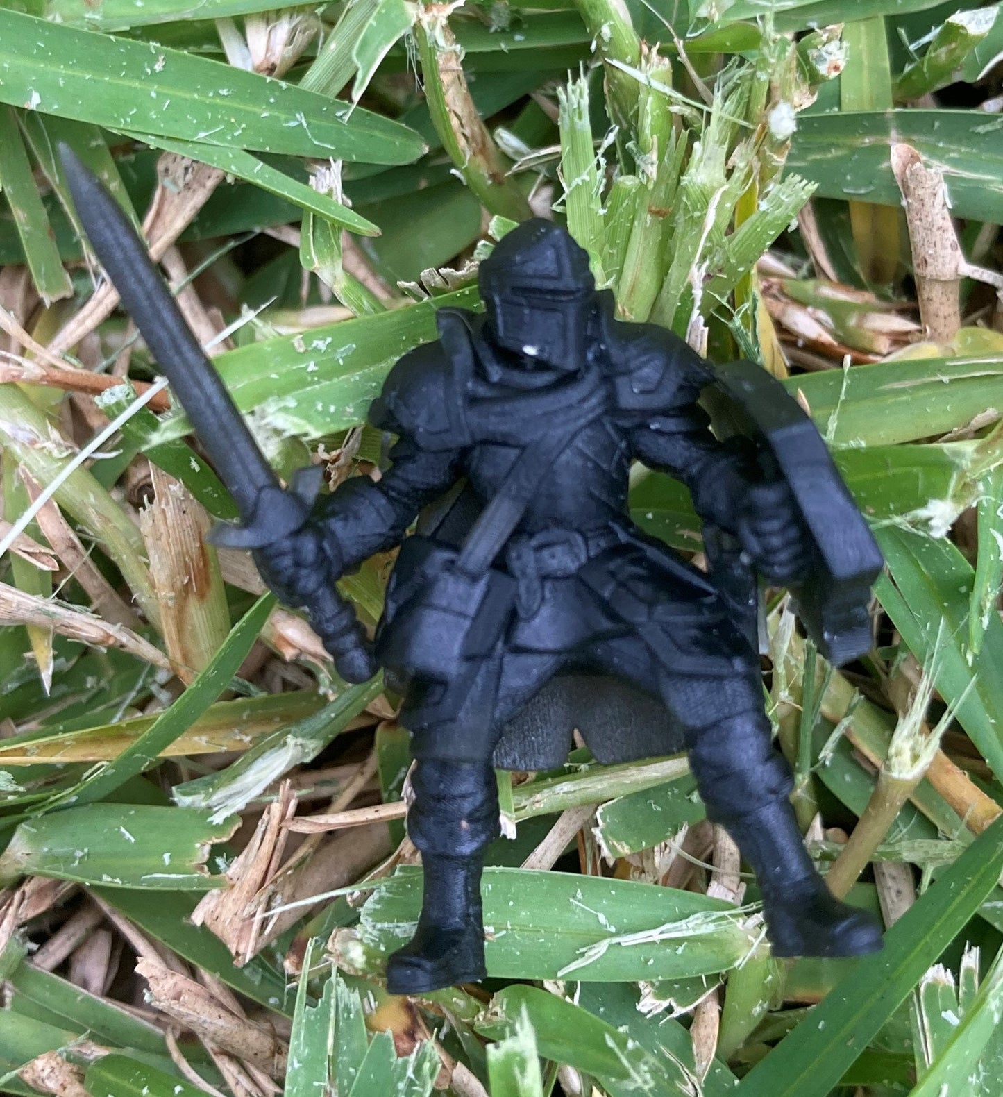 Male Human Paladin of Bahamat - Velrock