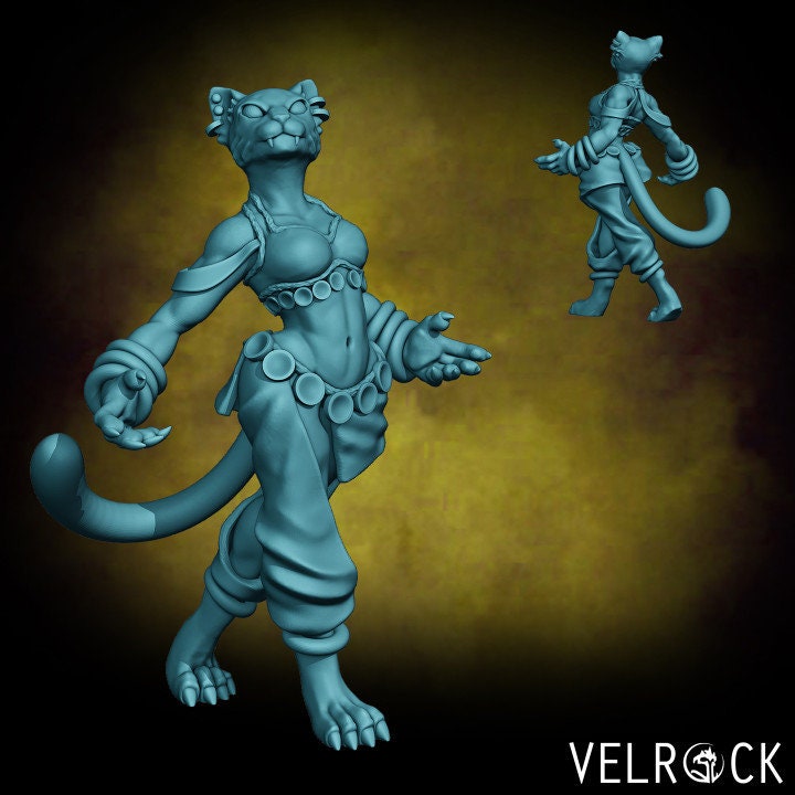 Tabaxi Dancer - Velrock
