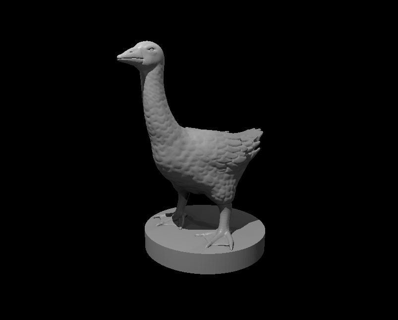 Goose (2 Variants) - MZ4250
