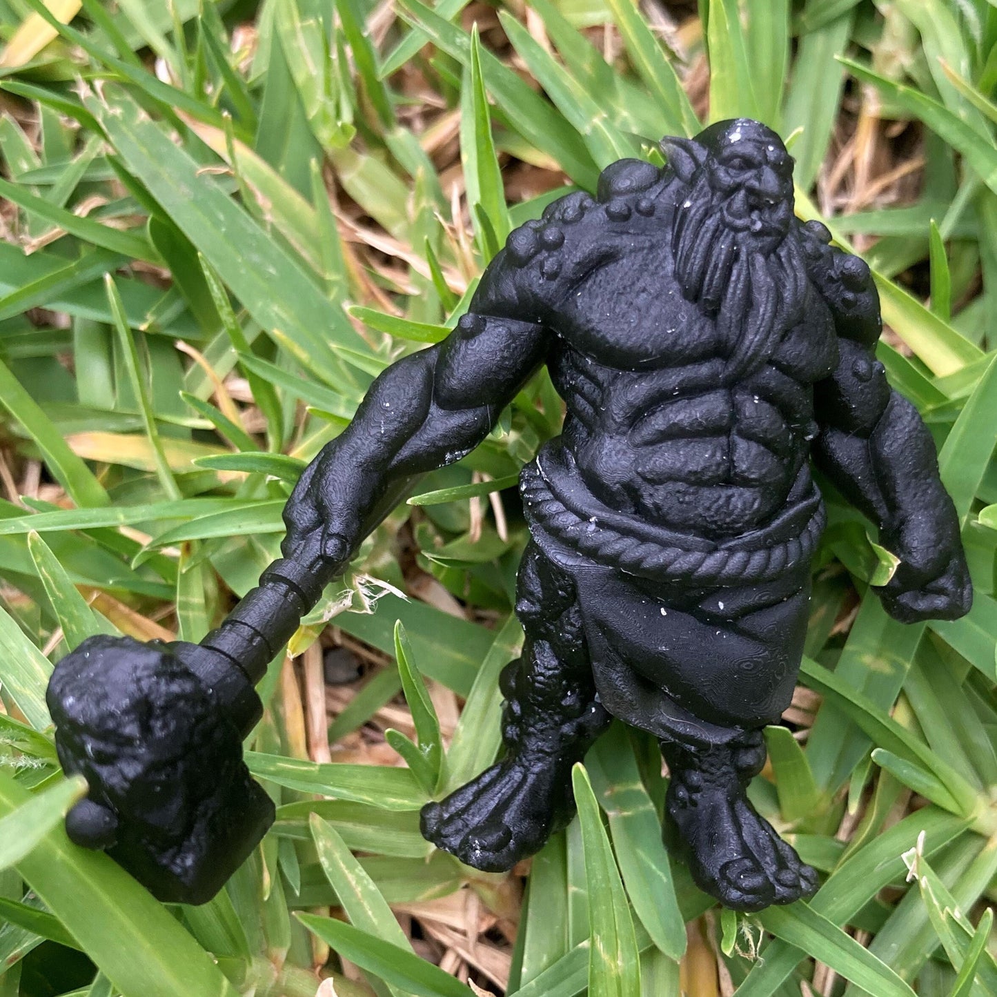 Troll - Brayan Nafarrate