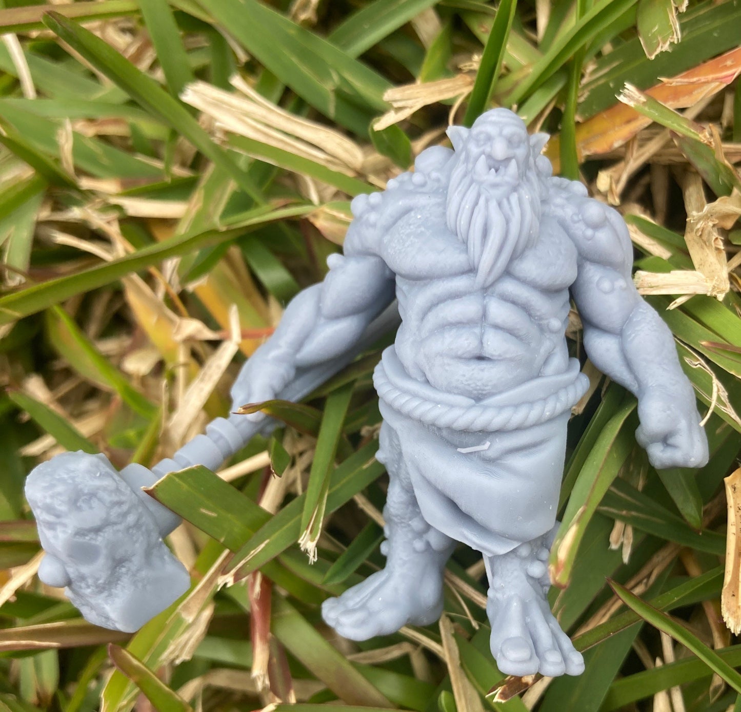 Troll - Brayan Nafarrate