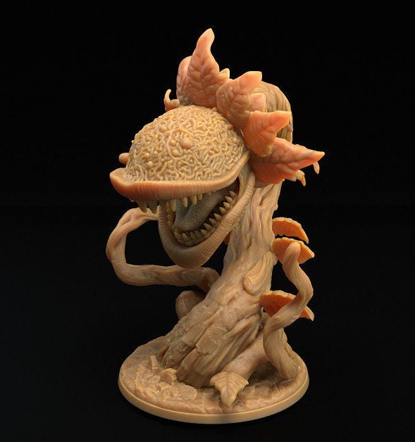 Carnivorous Plants (3 Variants Available) - Dragon Trapper's Lodge