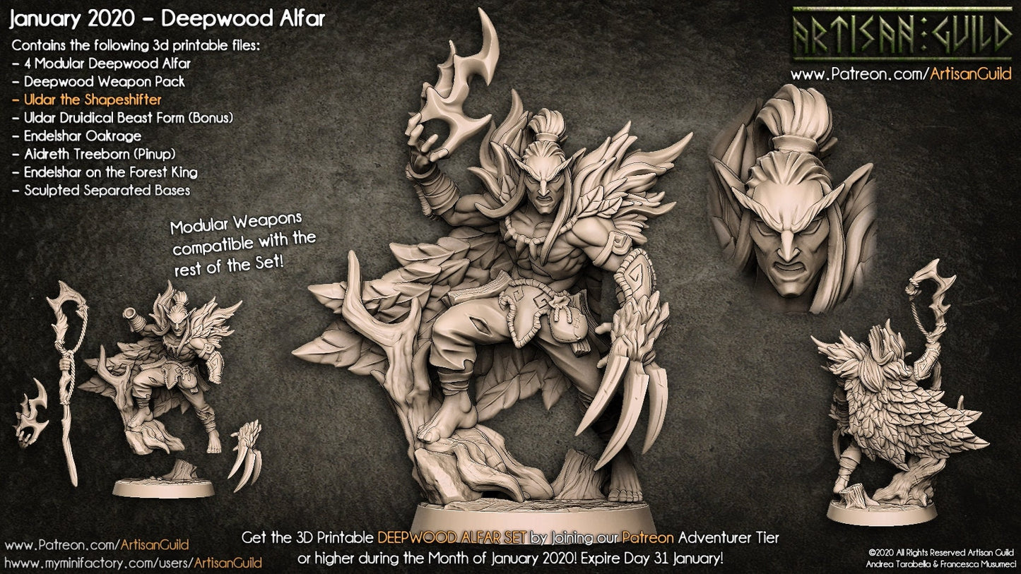 Uldar the Shapeshifter - Artisan Guild