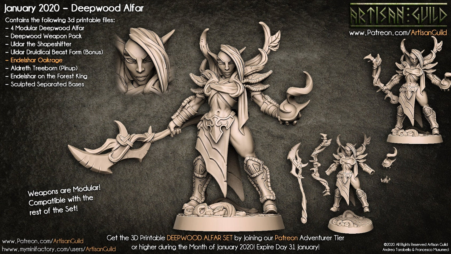 Endelshar Oakrage - Artisan Guild