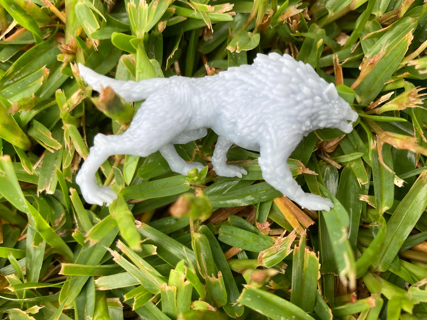 Warg (3 Variants) - Epic Miniatures