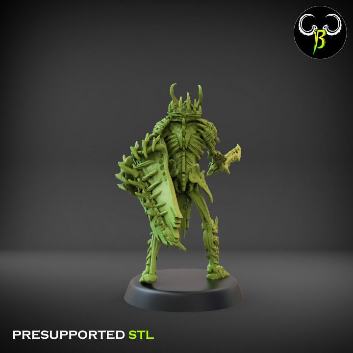 Bone Guard Shield Set 2 (6 Variants Available) - Clay Beast Creations