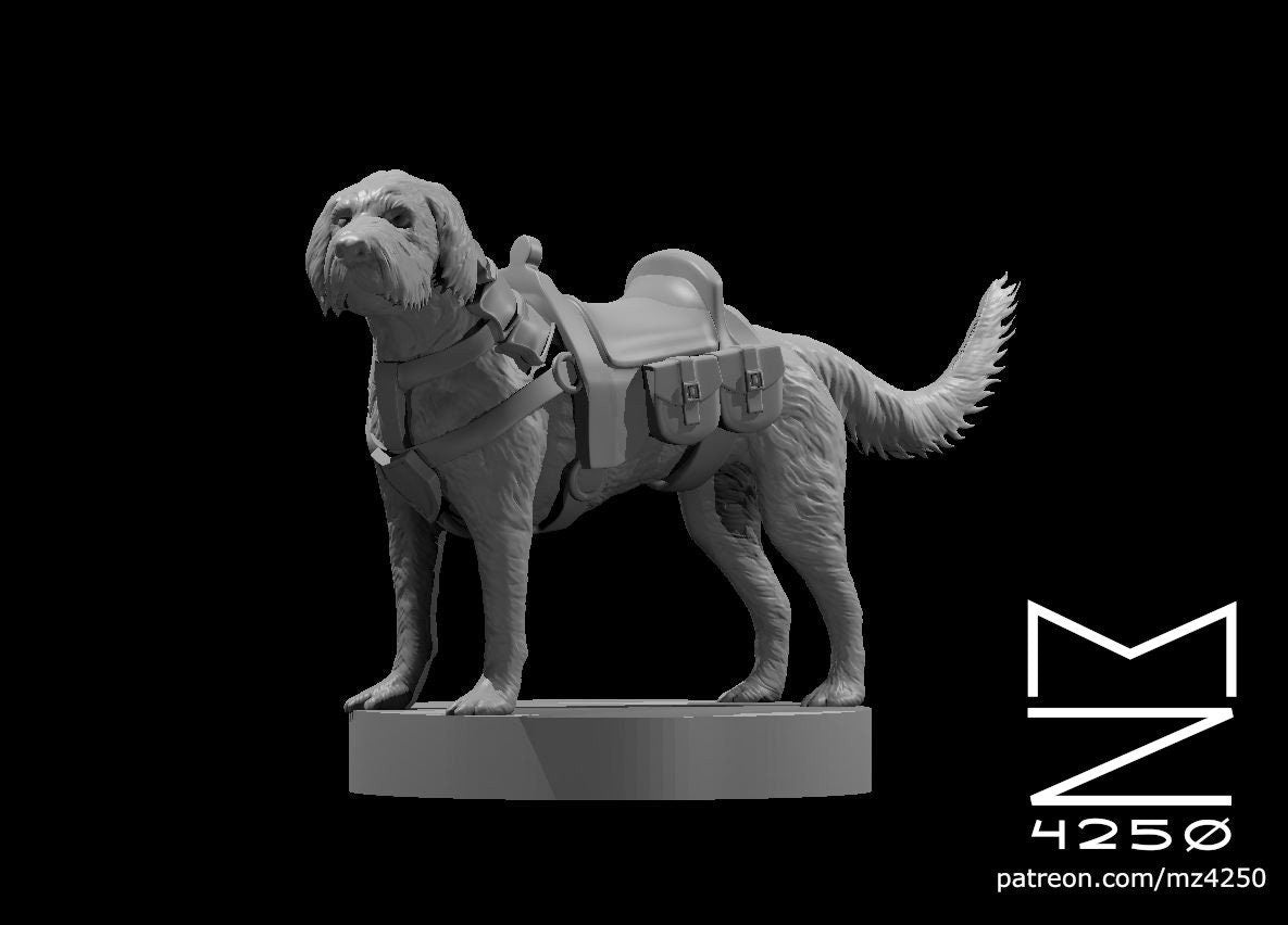 Labradoodle Cockapoo (2 Variants Available) - MZ4250