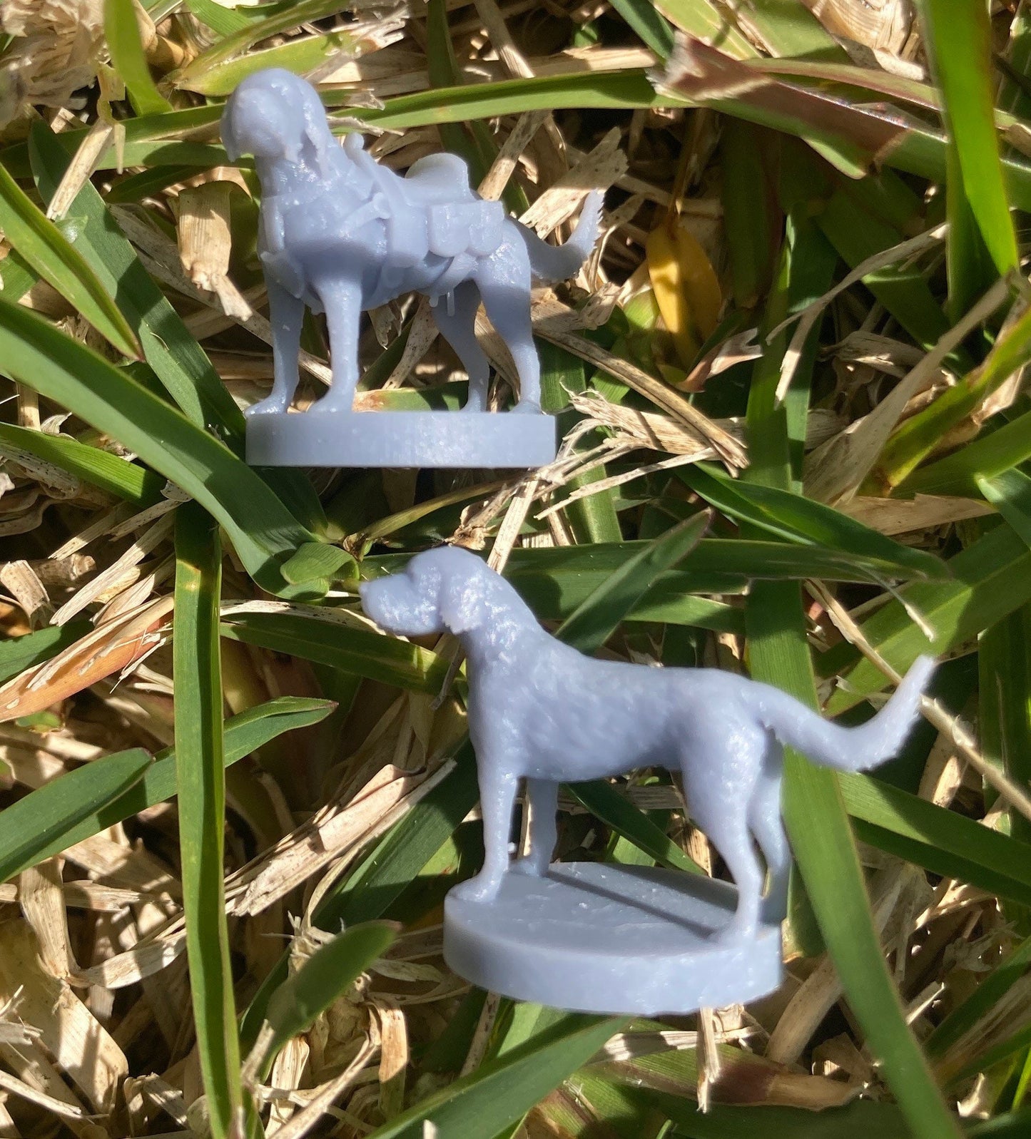 Labradoodle Cockapoo (2 Variants Available) - MZ4250
