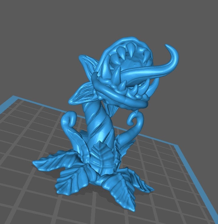 Carnivorous Plant (3 Variants Available) - Brayan Nafarrate