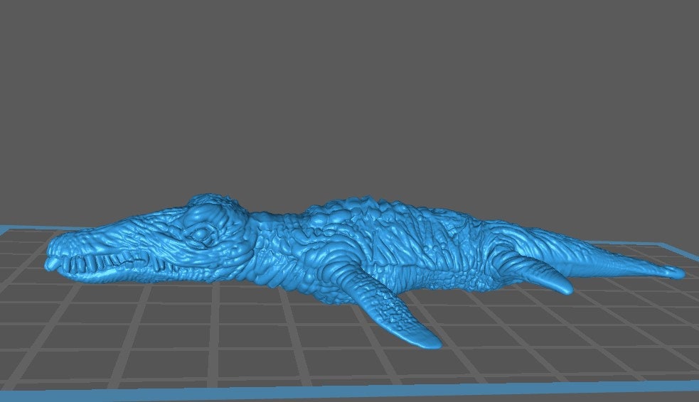 Liopleurodon (4 Variants Available) - Brayan Nafarrate