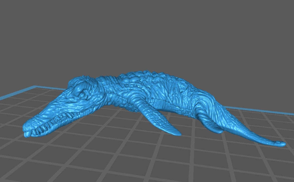 Liopleurodon (4 Variants Available) - Brayan Nafarrate