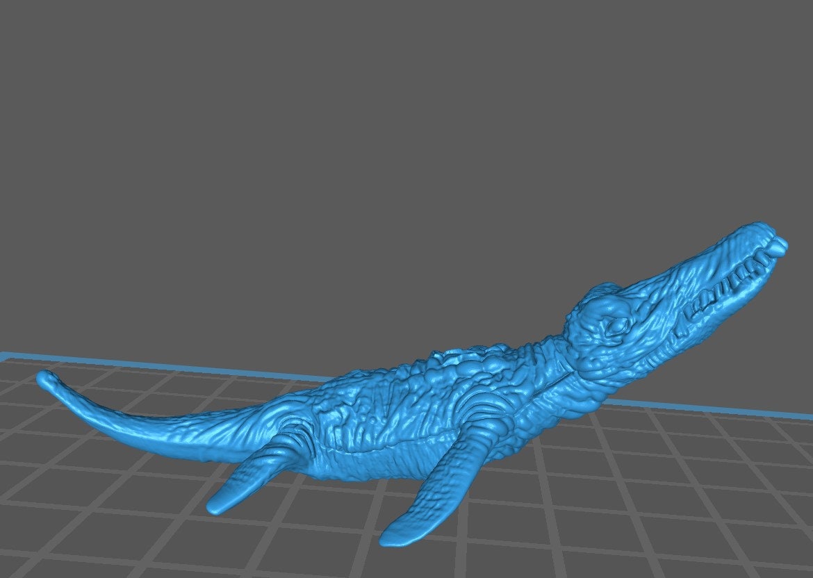 Liopleurodon (4 Variants Available) - Brayan Nafarrate