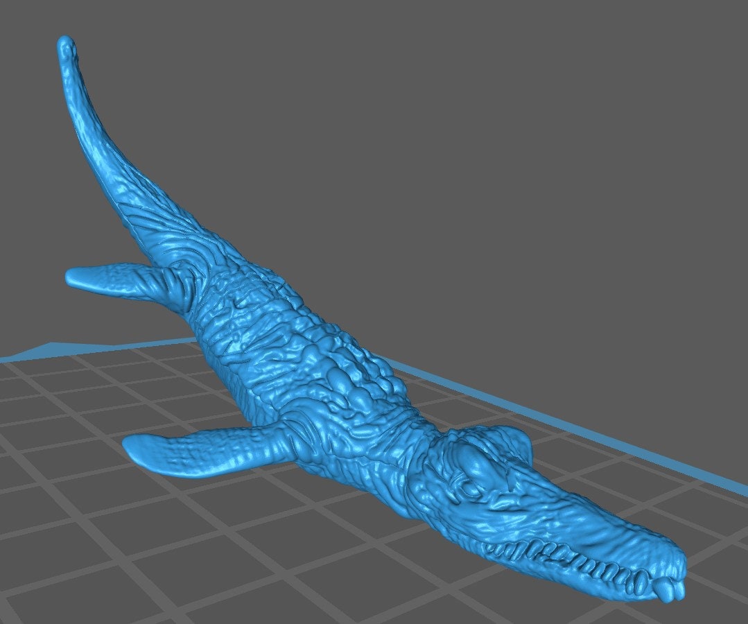 Liopleurodon (4 Variants Available) - Brayan Nafarrate