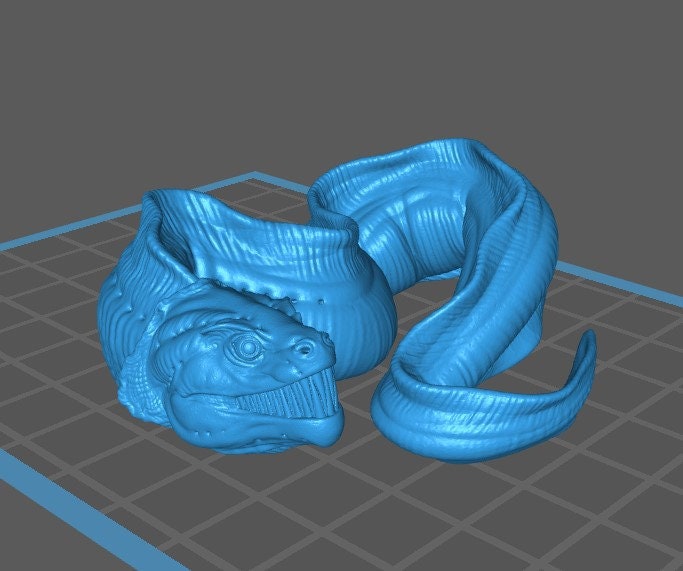 Eel - Brayan Nafarrate