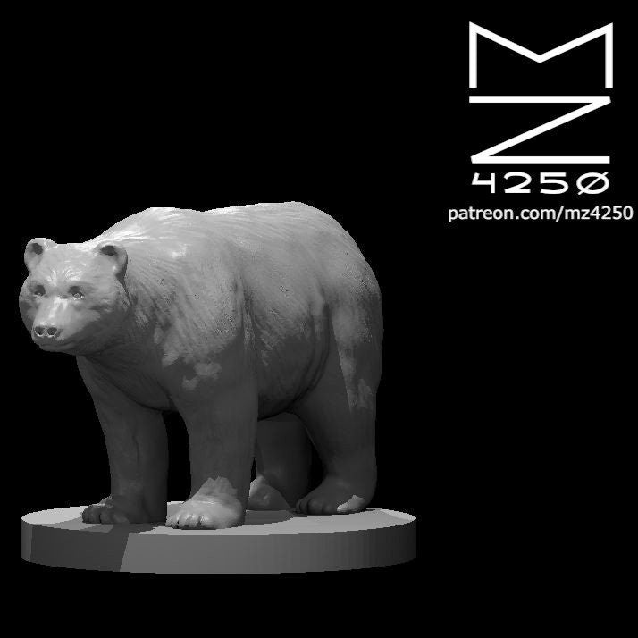 Bears (5 Variants Available) - MZ4250