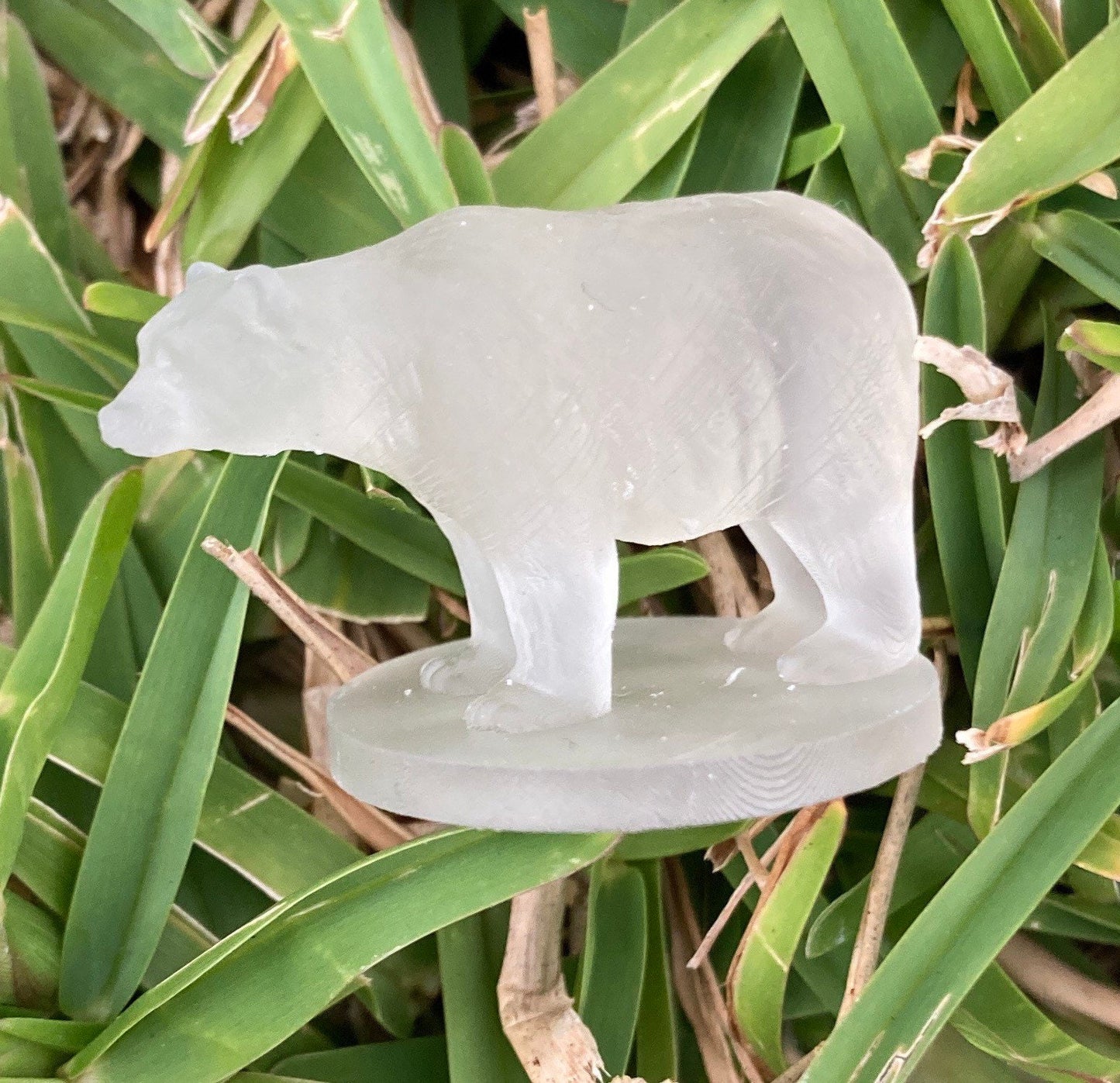 Bears (4 Variants Available) - MZ4250
