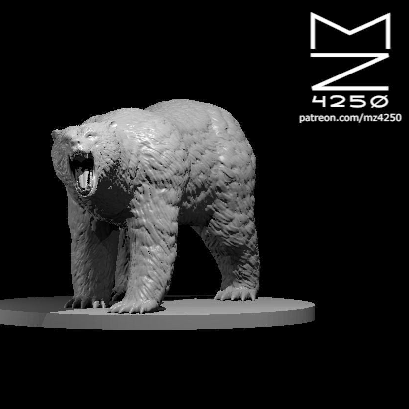 Bears (5 Variants Available) - MZ4250