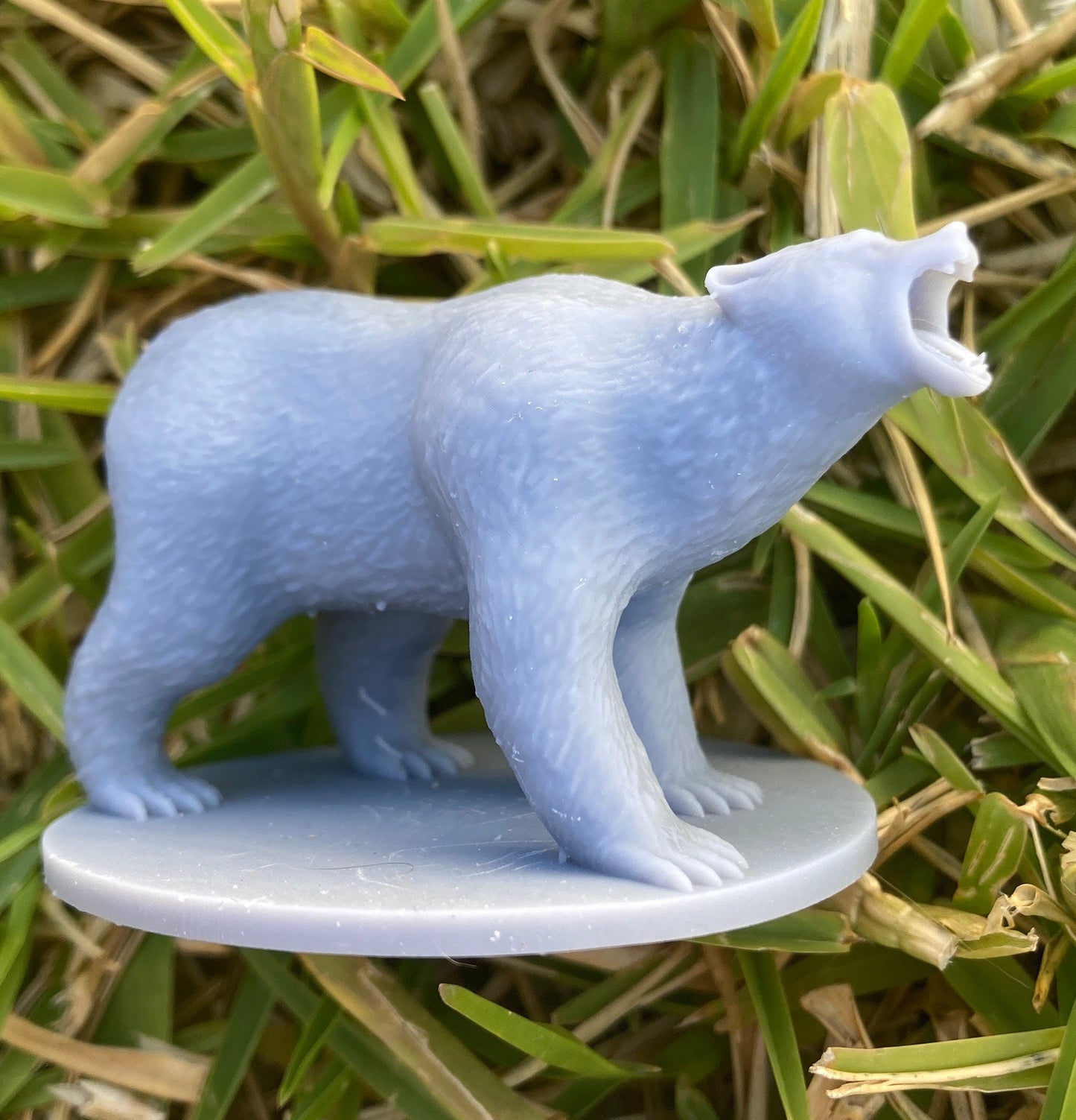 Bears (4 Variants Available) - MZ4250