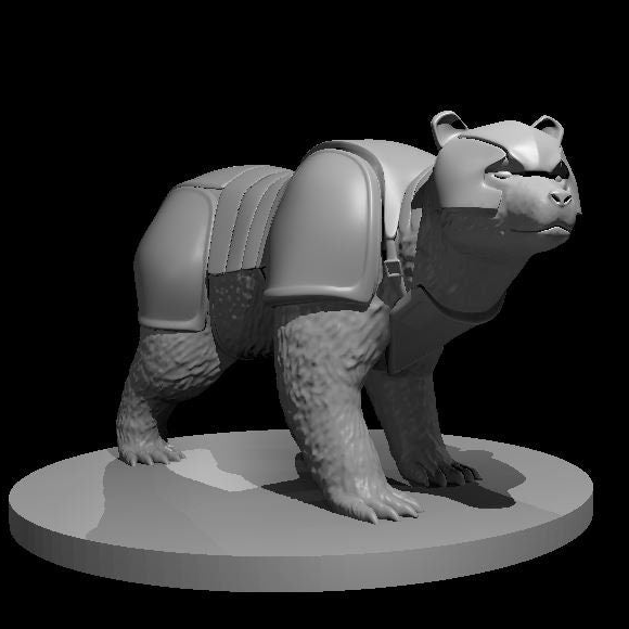 Bears (5 Variants Available) - MZ4250