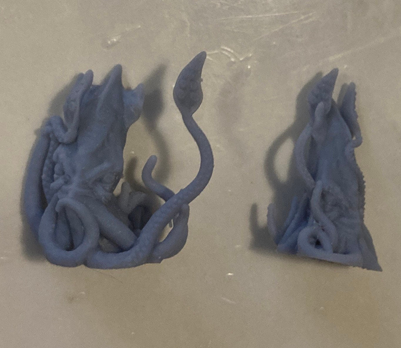 Squid (2 Variants Available) - Brayan Nafarrate