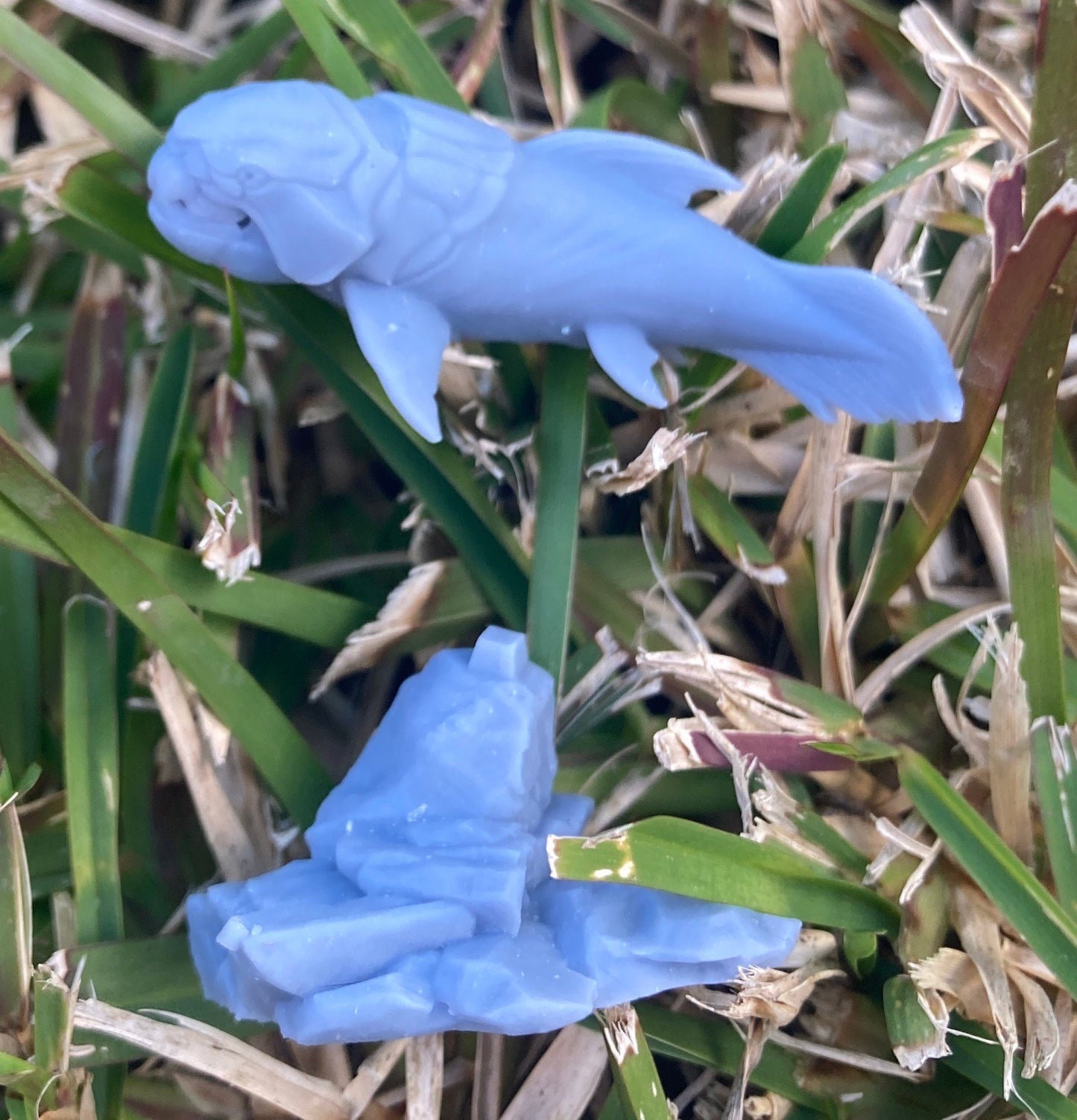 Dunkleosteus (4 Variants Available) - Brayan Nafarrate