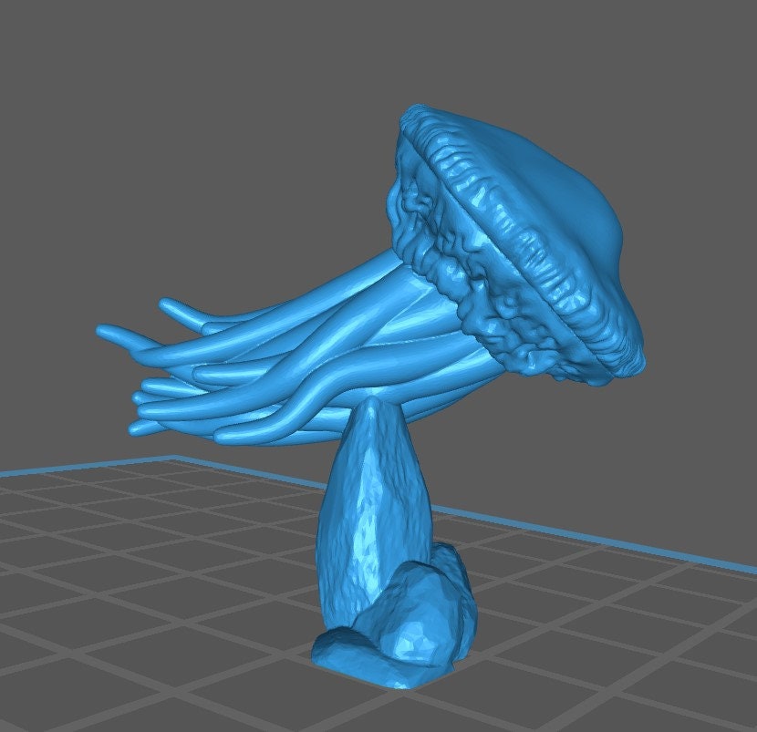 Giant Jellyfish (3 Variants Available) - Brayan Nafarrate