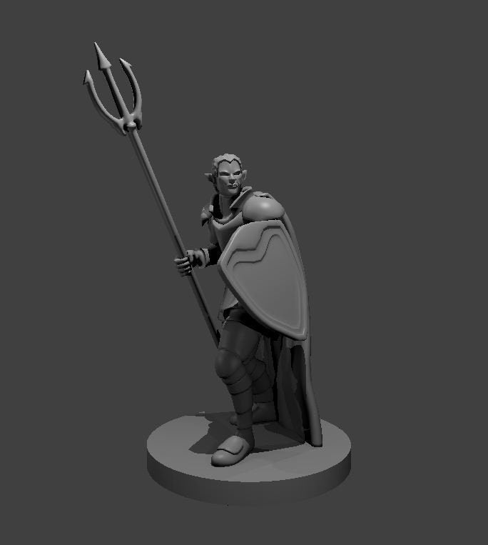 Elf Cleric (5 Variants Available) - MZ4250
