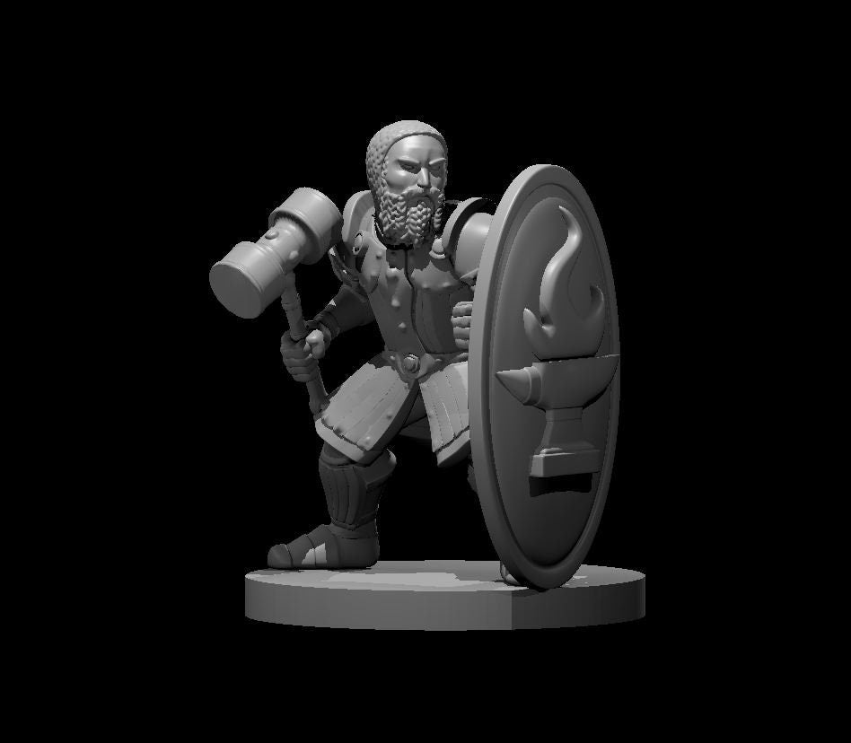 Dwarven Fighter (9 Variants Available) - MZ4250