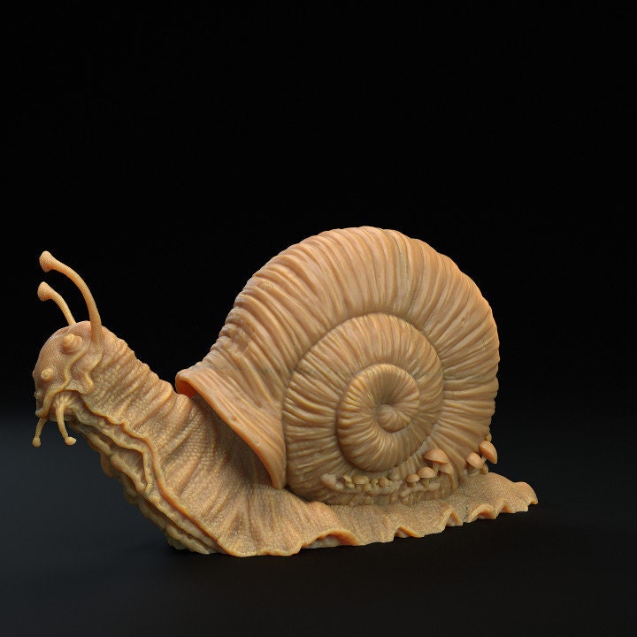 Giant Snail - Dragon Trapper's Lodge