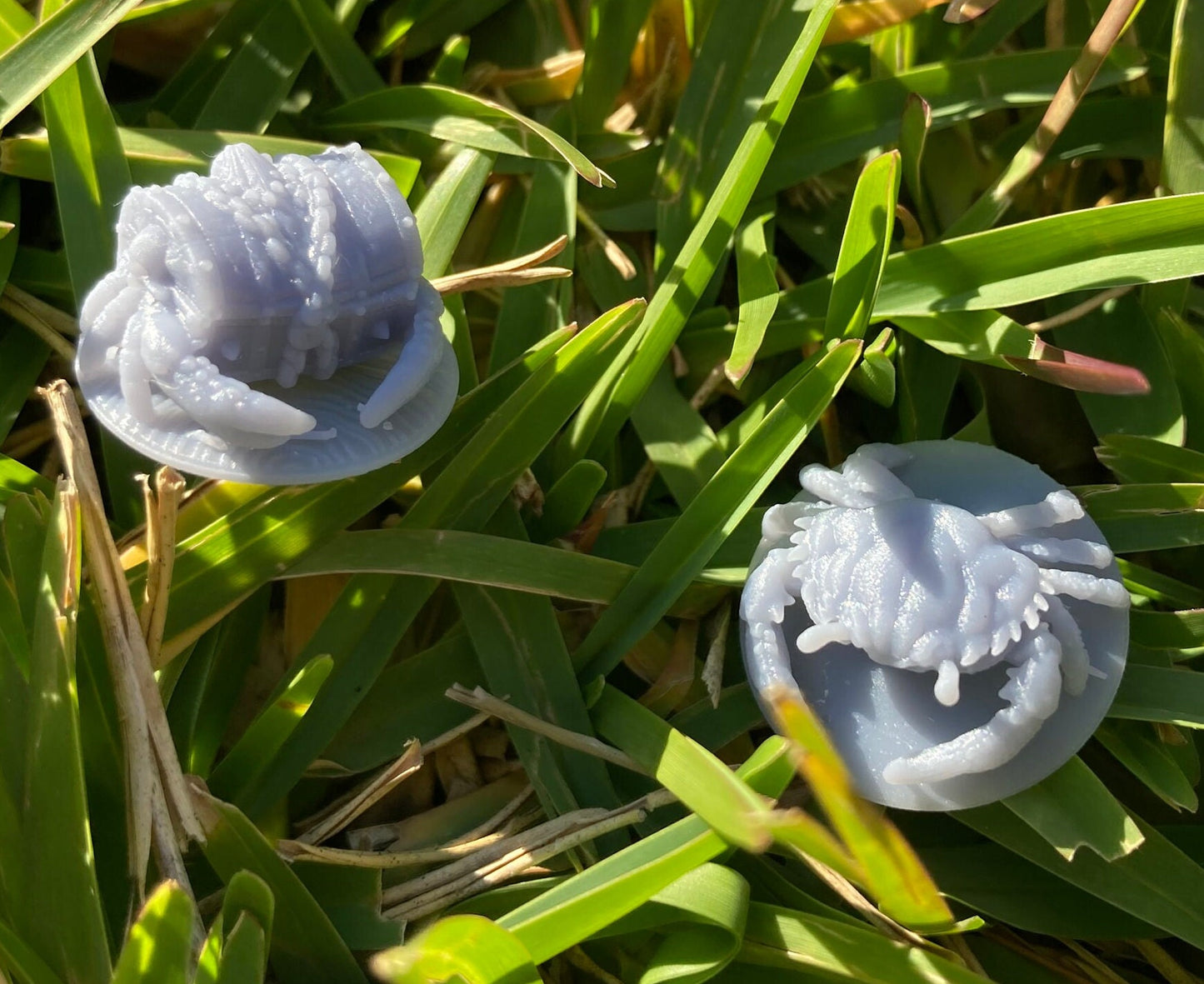 Crab (2 Variants Available) - Brayan Nafarrate