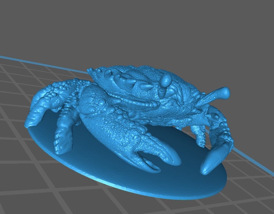 Crab (2 Variants Available) - Brayan Nafarrate