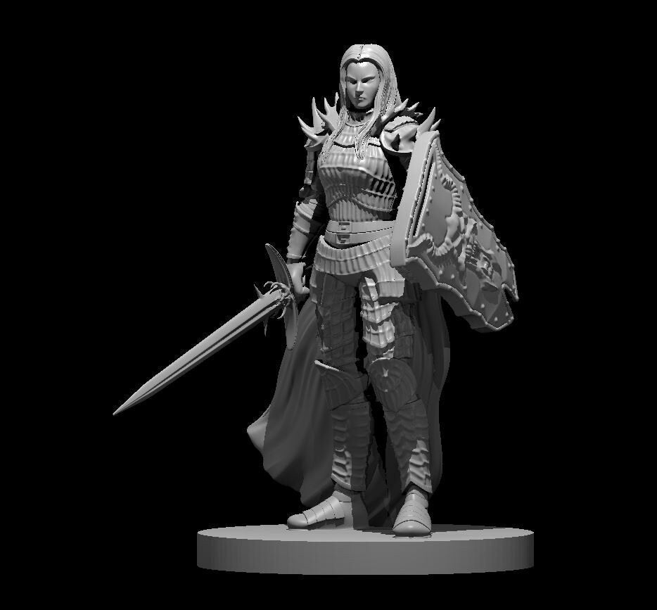 Human Paladin - Fallen (7 Variants Available) - MZ4250