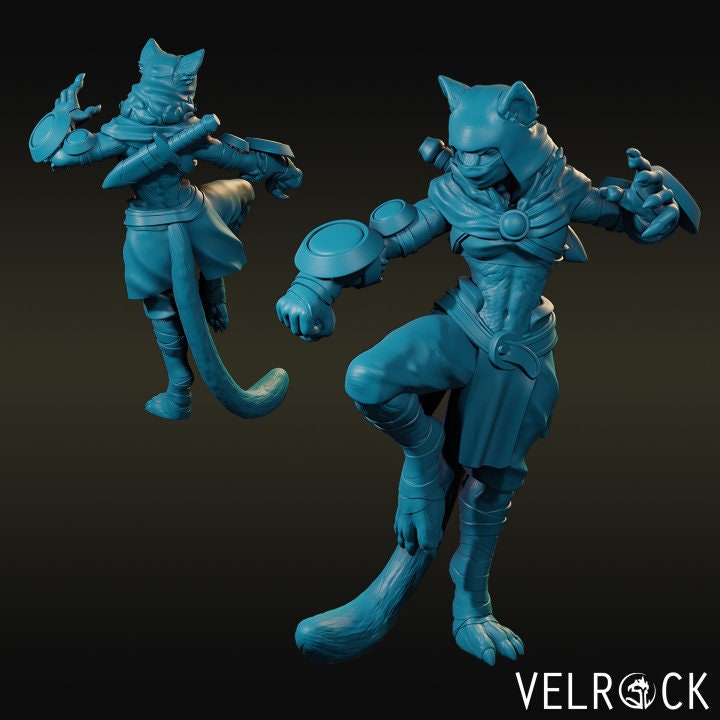 Tabaxi Monk (2 Variants) - Velrock