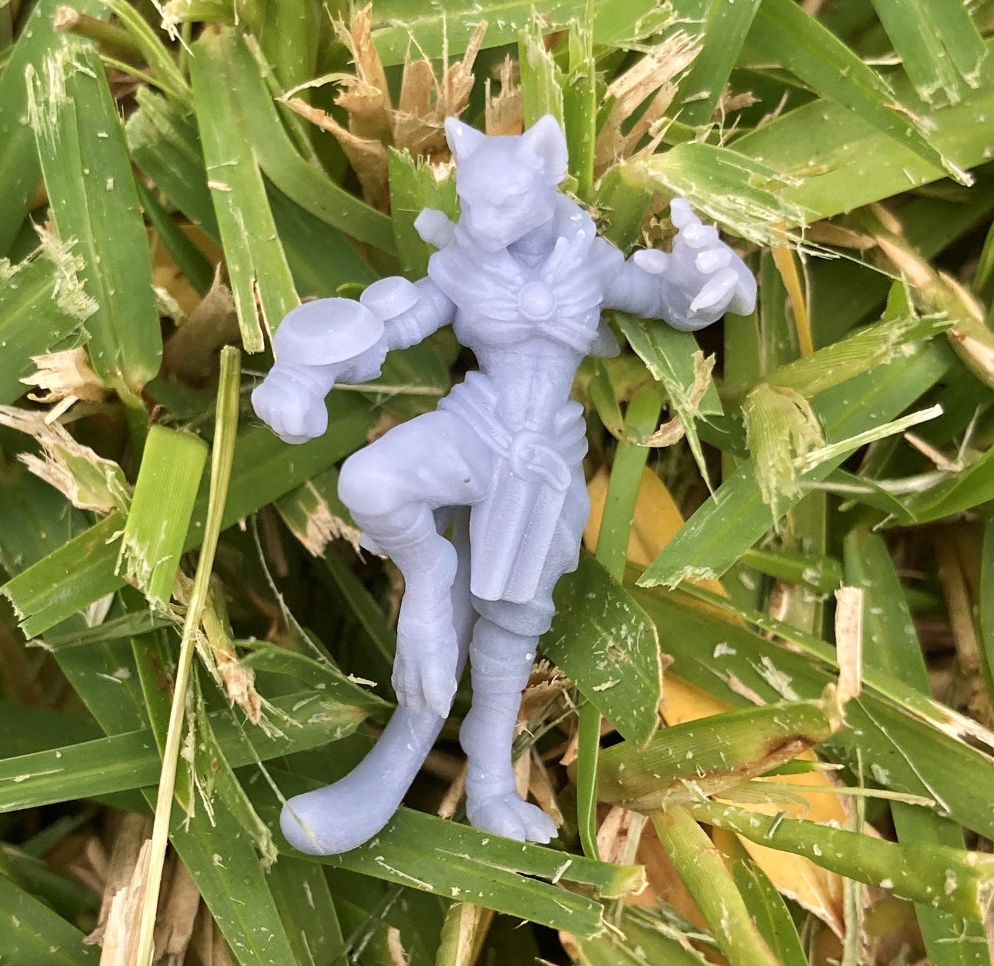 Tabaxi Monk (2 Variants) - Velrock