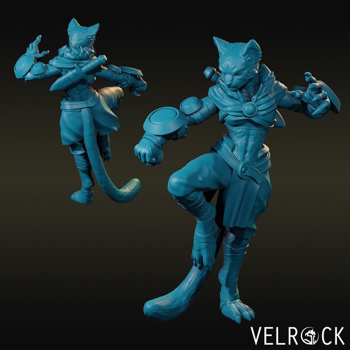Tabaxi Monk (2 Variants) - Velrock