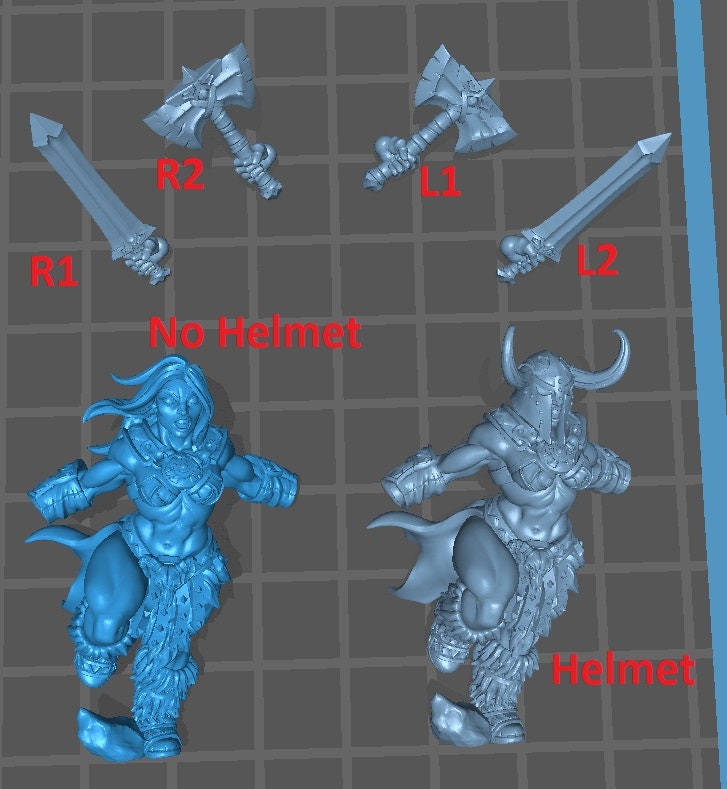 Dragonpeak Barbarian E (Modular) - Artisan Guild