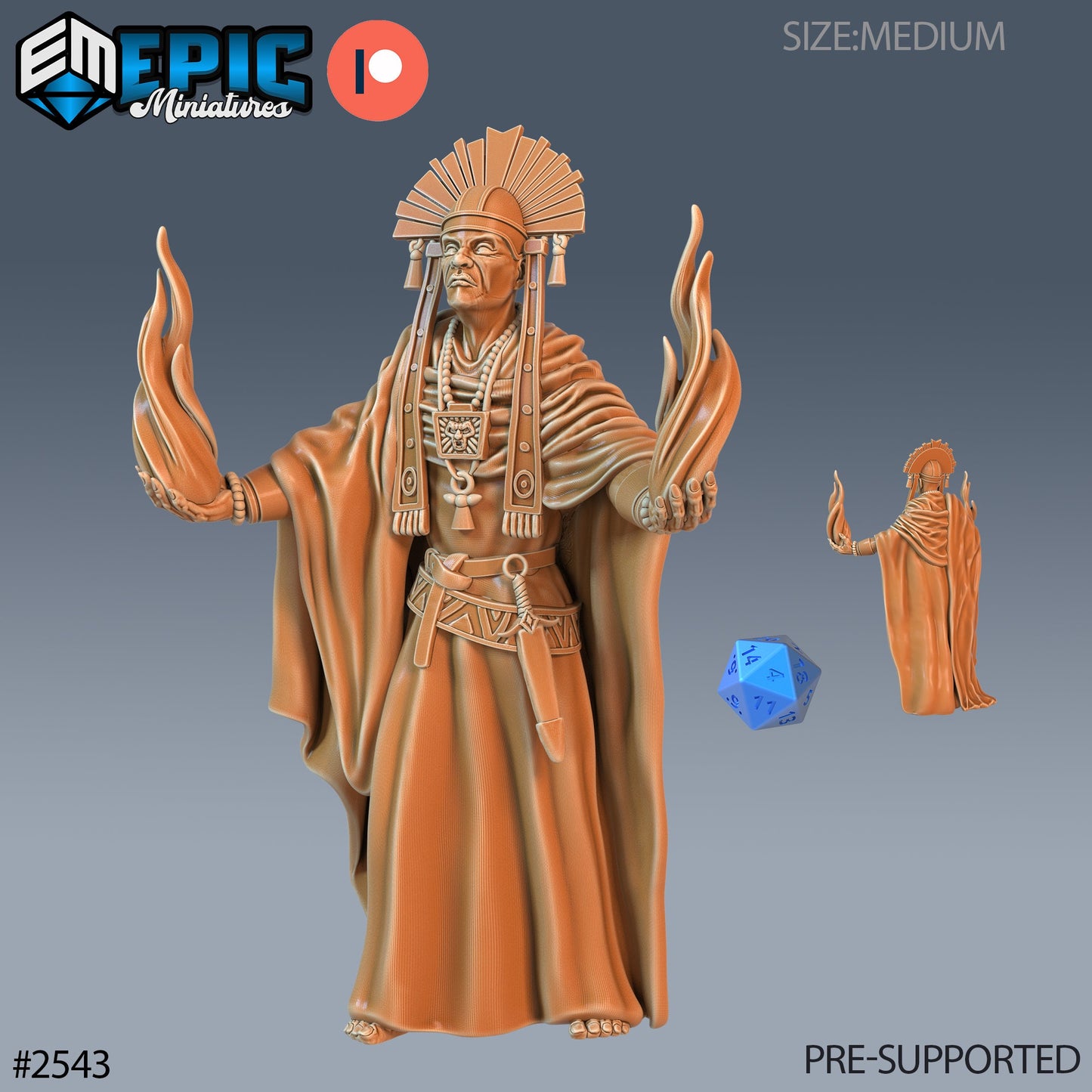Shaman Chief (3 Variants Available) - Epic Miniatures