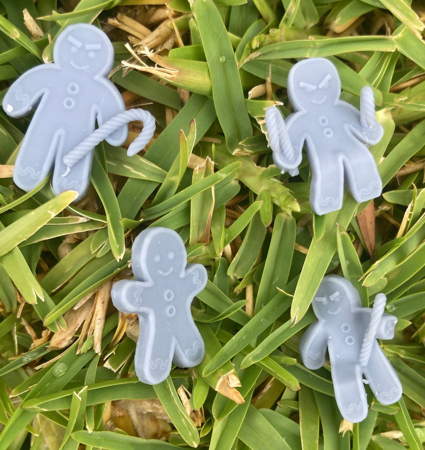 Gingerbread Man (4 Poses Available) - Brayan Nafarrate