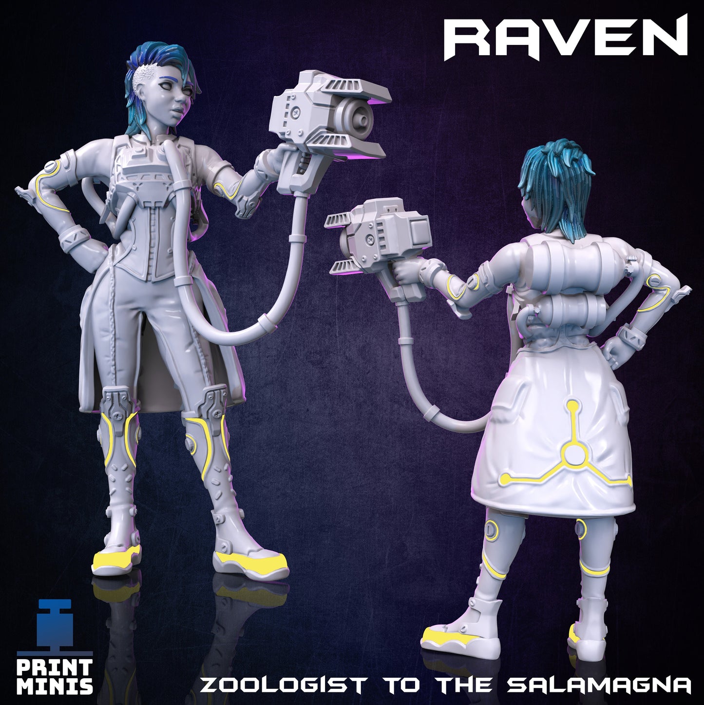 Zoologist Raven - Print Minis