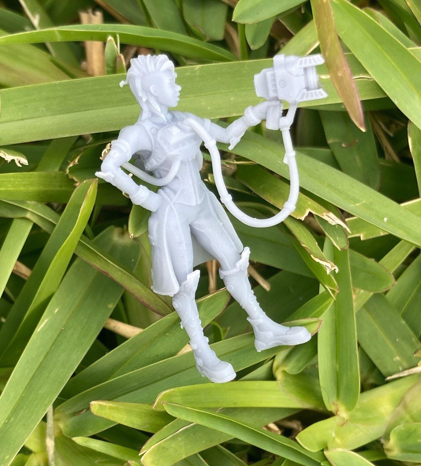 Zoologist Raven - Print Minis